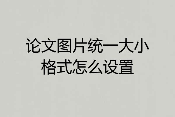论文图片统一大小格式怎么设置