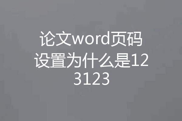 论文word页码设置为什么是123123
