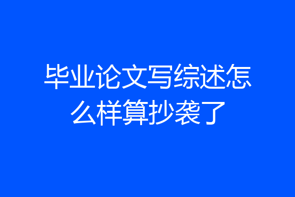 毕业论文写综述怎么样算抄袭了