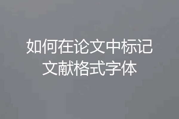 如何在论文中标记文献格式字体