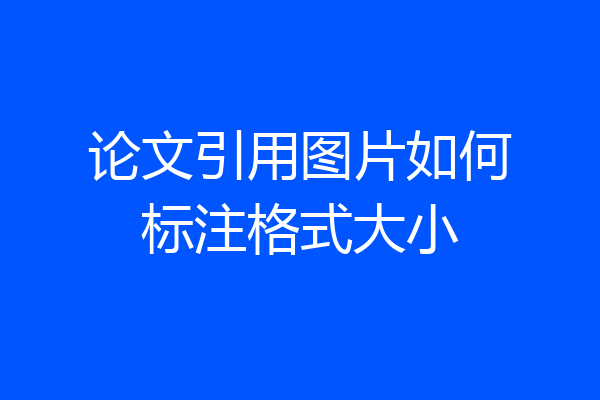 论文引用图片如何标注格式大小