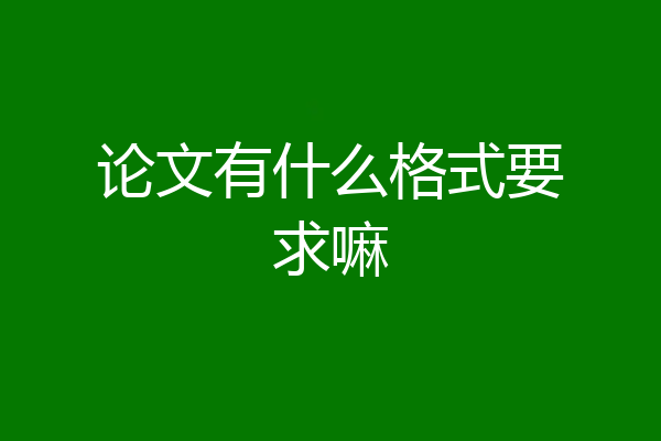 论文有什么格式要求嘛