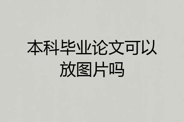 本科毕业论文可以放图片吗