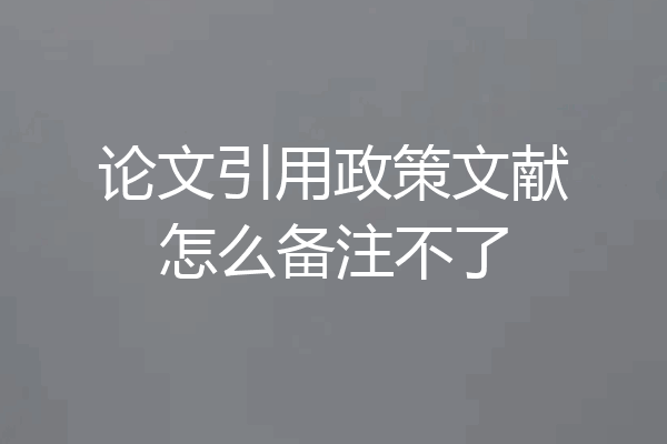 论文引用政策文献怎么备注不了