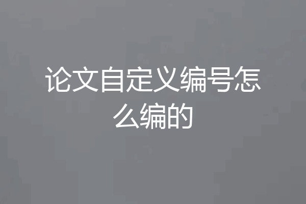 论文自定义编号怎么编的