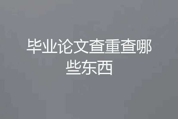 毕业论文查重查哪些东西