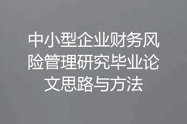 中小型企业财务风险管理研究毕业论文思路与方法