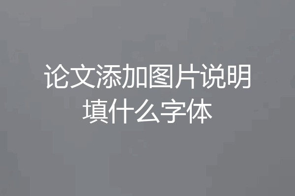 论文添加图片说明填什么字体