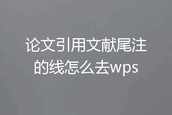 论文引用文献尾注的线怎么去wps