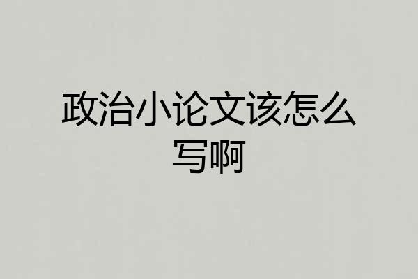 政治小论文该怎么写啊