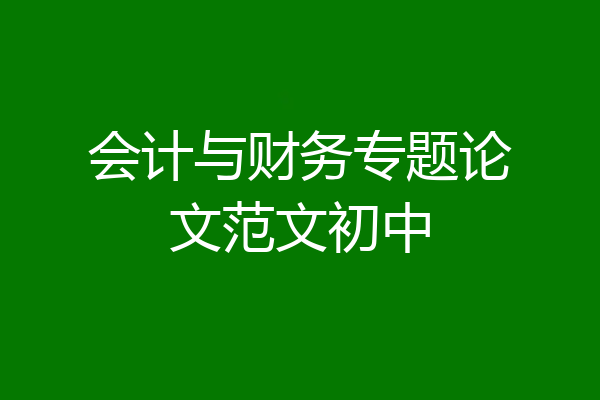 会计与财务专题论文范文初中