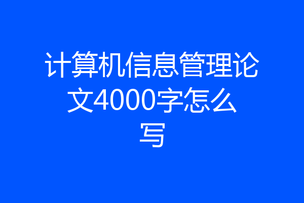 计算机信息管理论文4000字怎么写