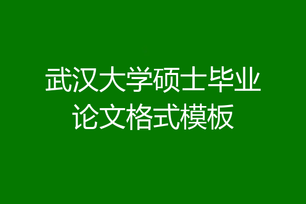 武汉大学硕士毕业论文格式模板