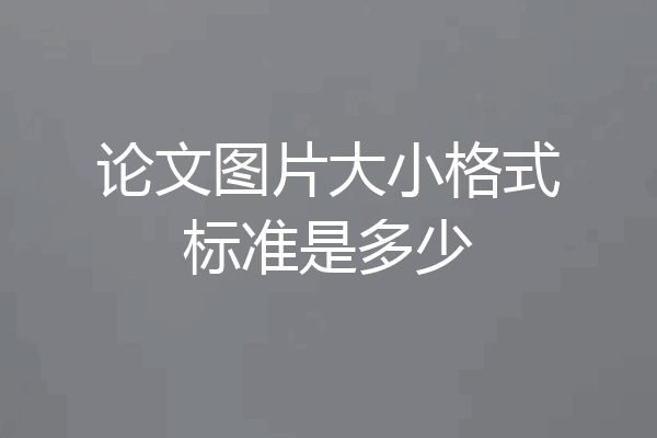 论文图片大小格式标准是多少