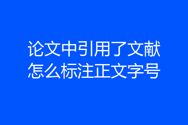 论文中引用了文献怎么标注正文字号