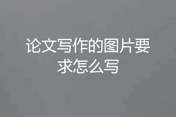 论文写作的图片要求怎么写