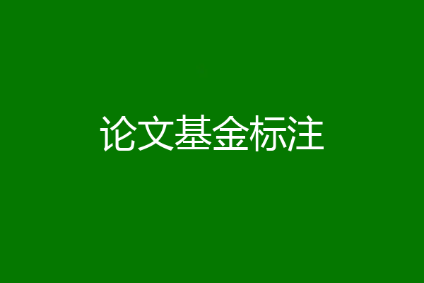论文基金标注