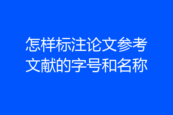 怎样标注论文参考文献的字号和名称