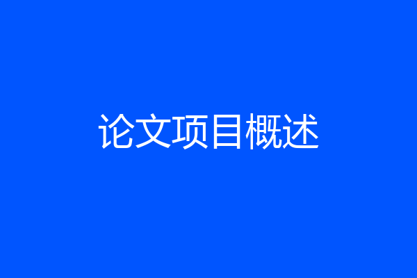 论文项目概述