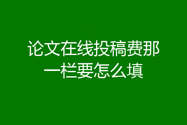 论文在线投稿费那一栏要怎么填