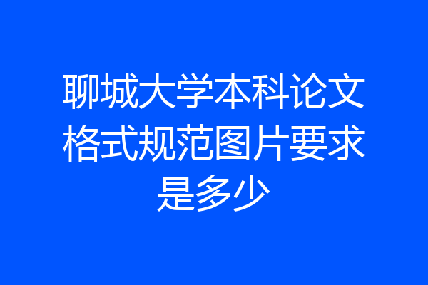 聊城大学本科论文格式规范图片要求是多少
