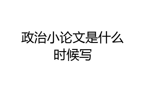 政治小论文是什么时候写