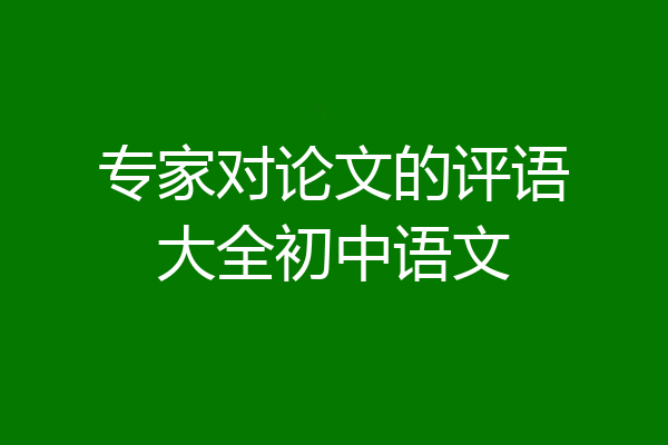 专家对论文的评语大全初中语文