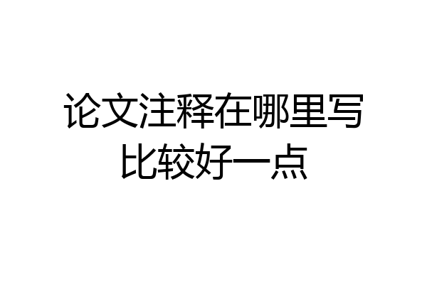 论文注释在哪里写比较好一点