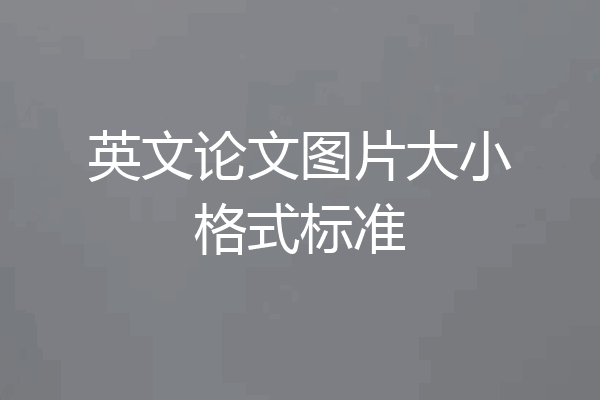 英文论文图片大小格式标准