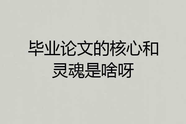 毕业论文的核心和灵魂是啥呀