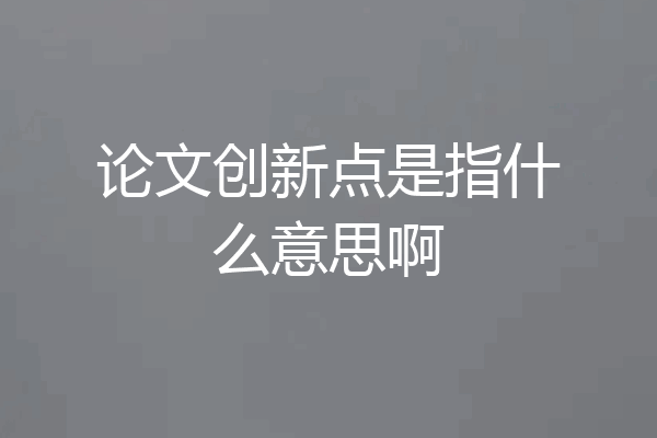 论文创新点是指什么意思啊
