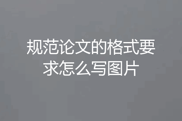 规范论文的格式要求怎么写图片