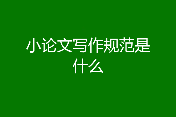 小论文写作规范是什么