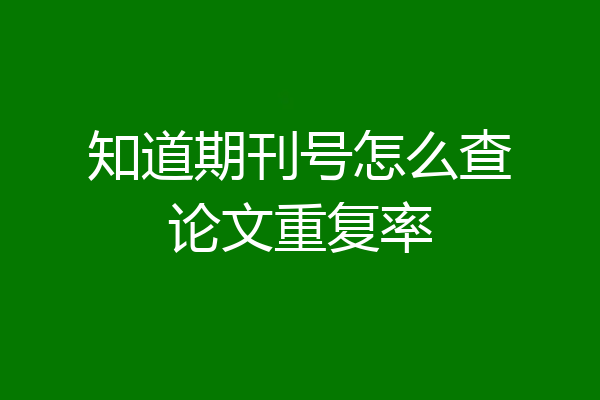 知道期刊号怎么查论文重复率