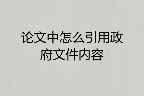 论文中怎么引用政府文件内容