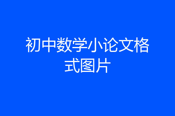 初中数学小论文格式图片