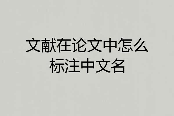 文献在论文中怎么标注中文名