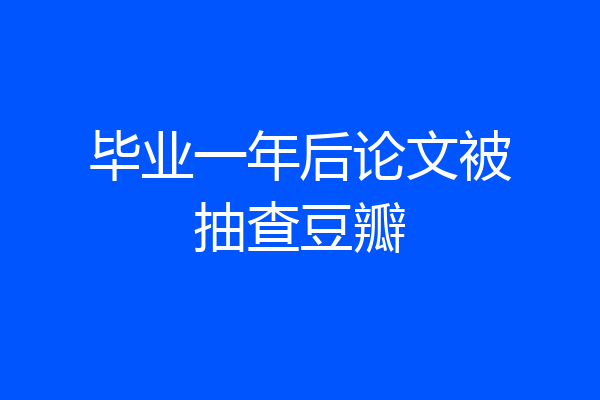 毕业一年后论文被抽查豆瓣