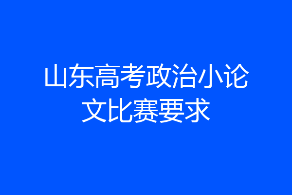 山东高考政治小论文比赛要求