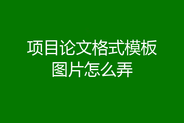 项目论文格式模板图片怎么弄