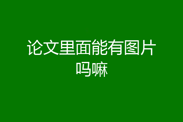论文里面能有图片吗嘛
