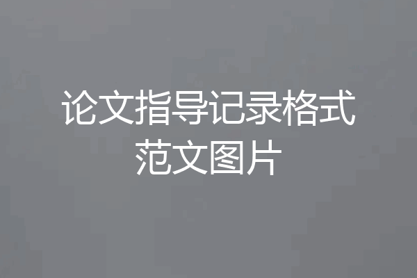 论文指导记录格式范文图片