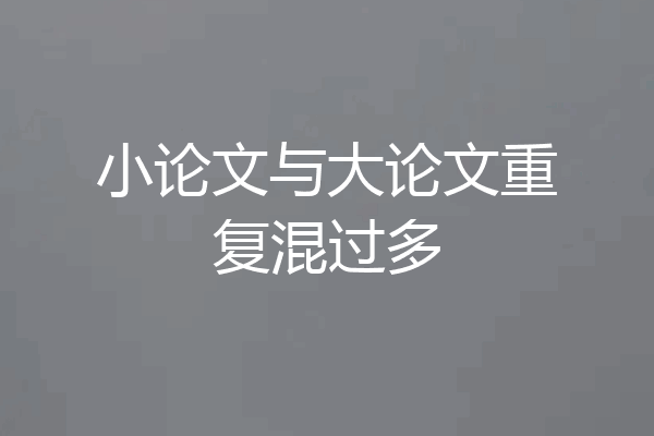 小论文与大论文重复混过多