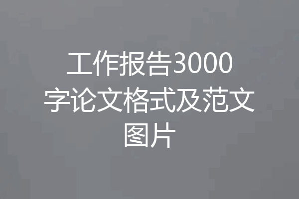 工作报告3000字论文格式及范文图片
