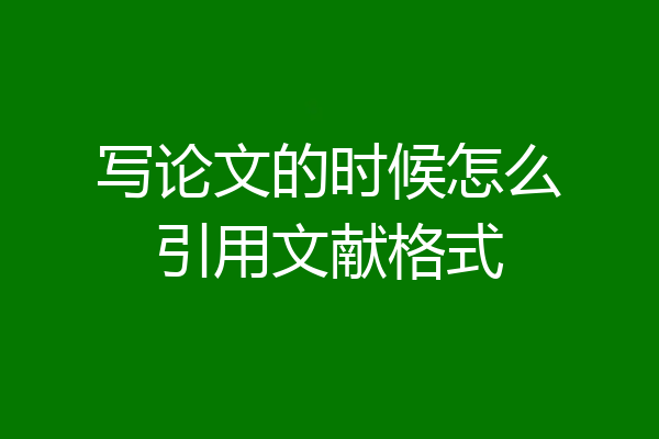 写论文的时候怎么引用文献格式