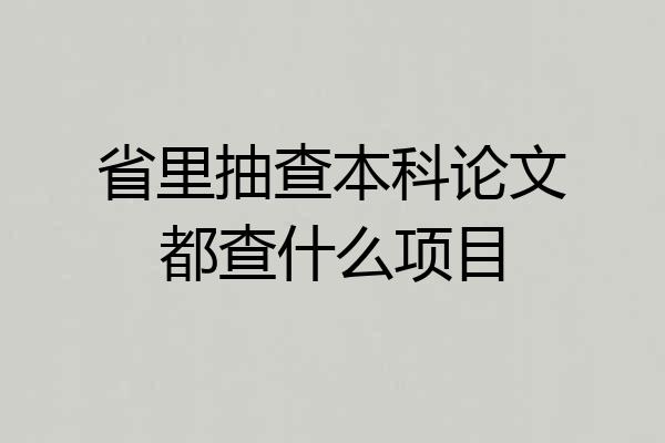 省里抽查本科论文都查什么项目