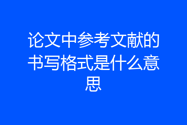 论文中参考文献的书写格式是什么意思