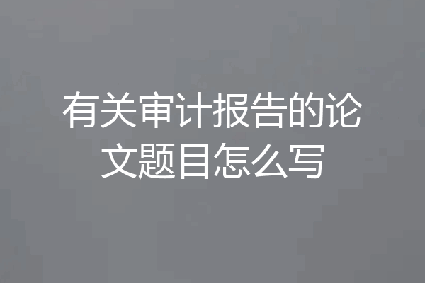 有关审计报告的论文题目怎么写