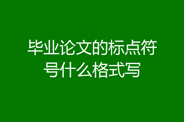 毕业论文的标点符号什么格式写