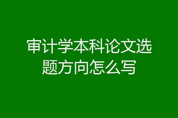 审计学本科论文选题方向怎么写